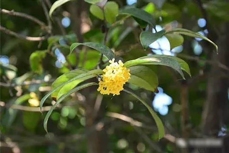 程力風采：金秋九月，我在程力等您